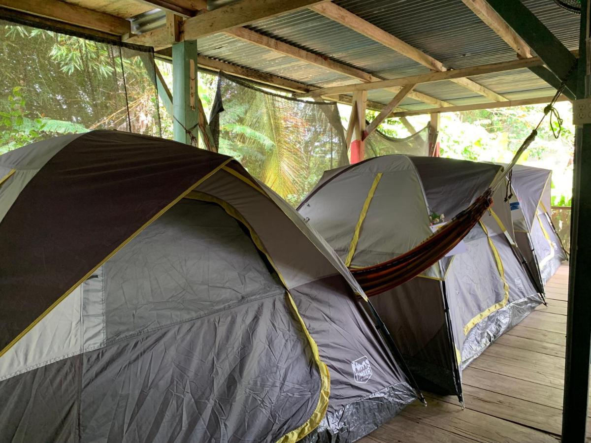 فندق Surf Camp بوكاس تاون المظهر الخارجي الصورة