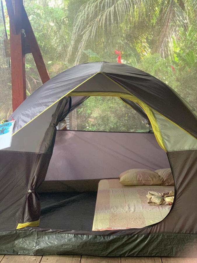 فندق Surf Camp بوكاس تاون المظهر الخارجي الصورة