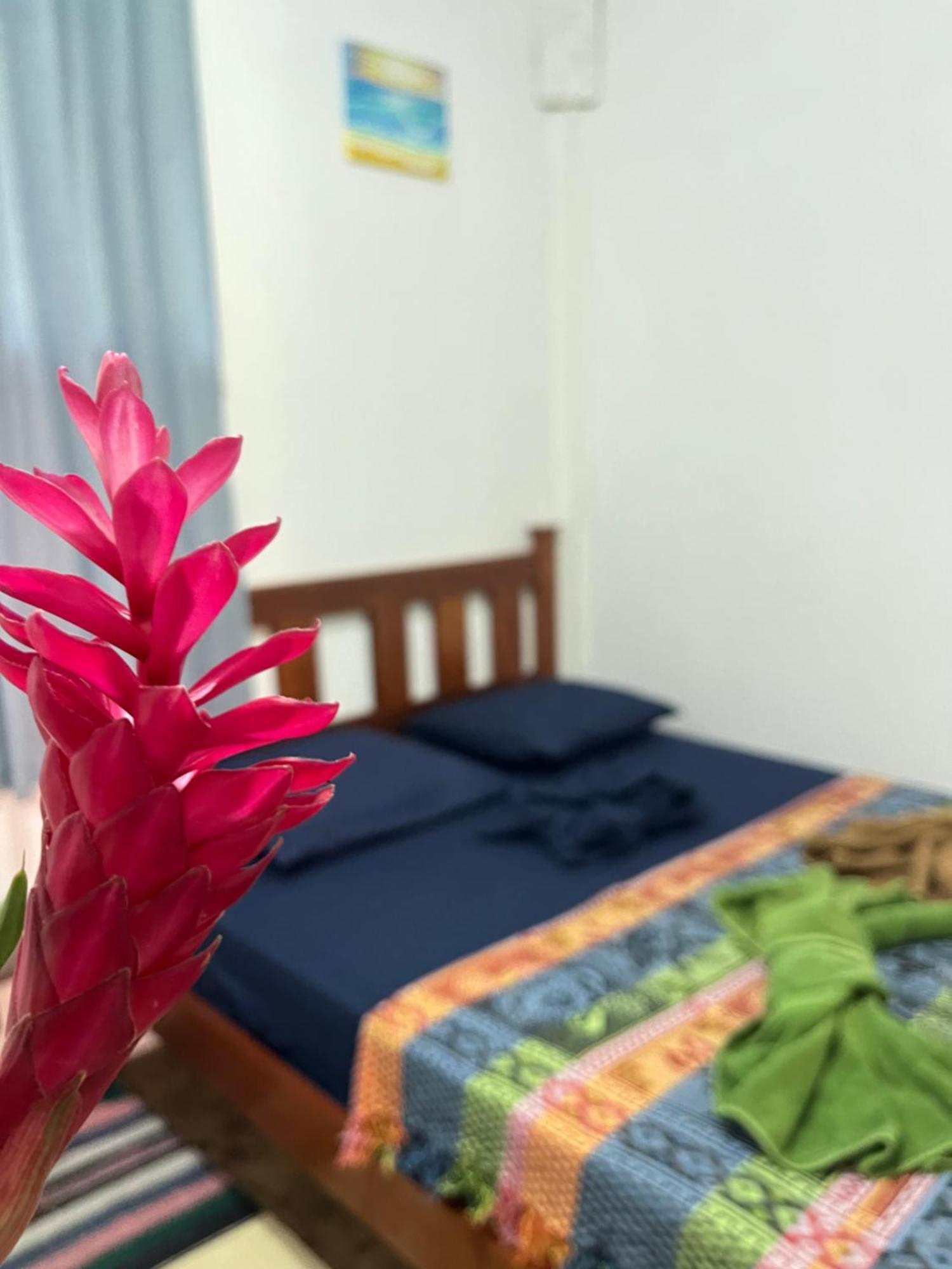فندق Surf Camp بوكاس تاون المظهر الخارجي الصورة